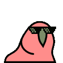:DealWithIt_Parrot: Discord Emote