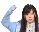 tanakaflex
