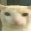 illfuckyomomma