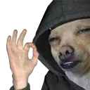 niceu niceu