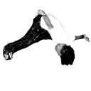 cartiflip