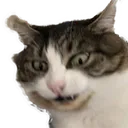 felixDumb felixDumb