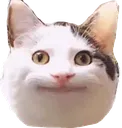 valerok