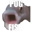 pogfish
