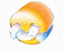 SoFUCKINGFunny Discord Emoji