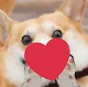 floflove floflove