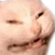 :DS_MadCat: Discord Emote