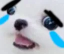 cri