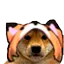 leclumdogwithhat