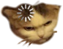 :8430_Buffering_cat: Discord Emote