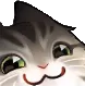 heyocat