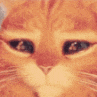 :3133_Pusscuteface: Discord Emote