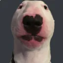 Walter