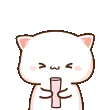 nyaILY
