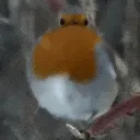 berd