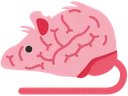 RatBrain