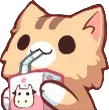 CatSip