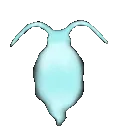ghostroach