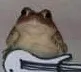 gutarist