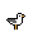 A_Bird