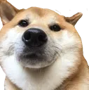 doge_huh