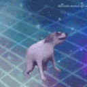 happy_dance