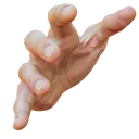ZY