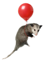 :possumballoon: Discord Emote