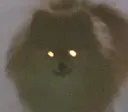 PersikDemon