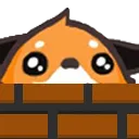 KyuPeek