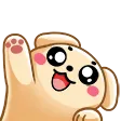 puppHi
