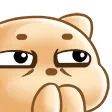 puppHmm