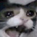 AAAAAAAAAAAAAAAAAAAAAAAAAAAAAAAA AAAAAAAAAAAAAAAAAAAAAAAAAAAAAAAA