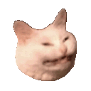 Kittyspin Discord Emoji