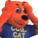 coolcat