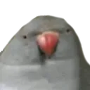 fat