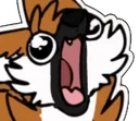 Flud_D_Derp