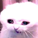 littlepeepeeboy