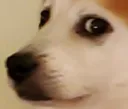 concerndotpng