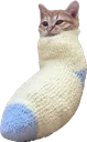rare_sockcat
