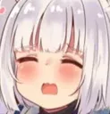 kagawoo
