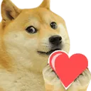doge_love