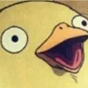 ducc