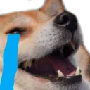 cryingdogekek