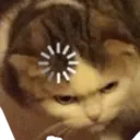 loadingcat