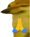 Dorime