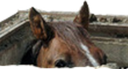 watchin Discord emoji