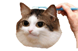 :brushy: