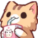 kitty6sip