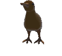 :spin: Discord Emote